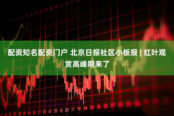 配资知名配资门户 北京日报社区小板报 | 红叶观赏高峰期来了