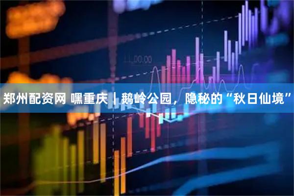 郑州配资网 嘿重庆｜鹅岭公园，隐秘的“秋日仙境”