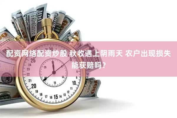 配资网络配资炒股 秋收遇上阴雨天 农户出现损失能获赔吗？