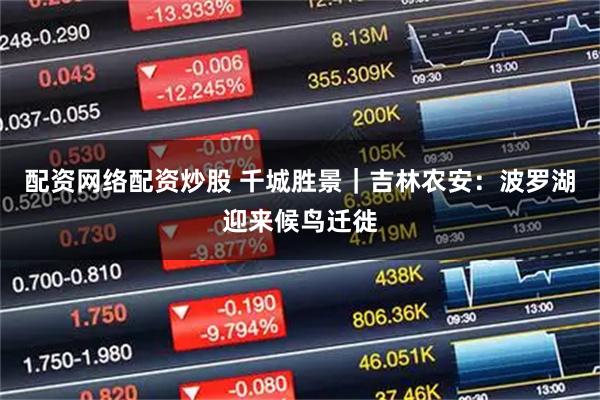 配资网络配资炒股 千城胜景｜吉林农安：波罗湖迎来候鸟迁徙