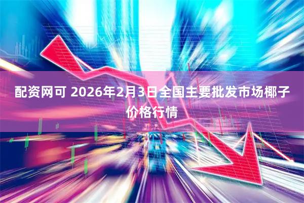 配资网可 2026年2月3日全国主要批发市场椰子价格行情