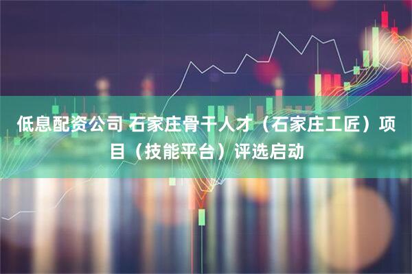 低息配资公司 石家庄骨干人才（石家庄工匠）项目（技能平台）评选启动